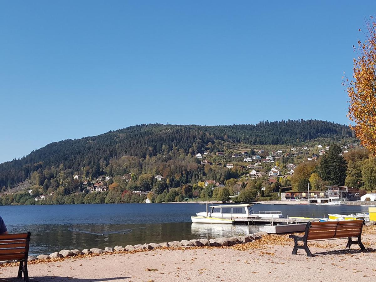 Maison Chaleureuse La Meybel La Bresse Bagian luar foto