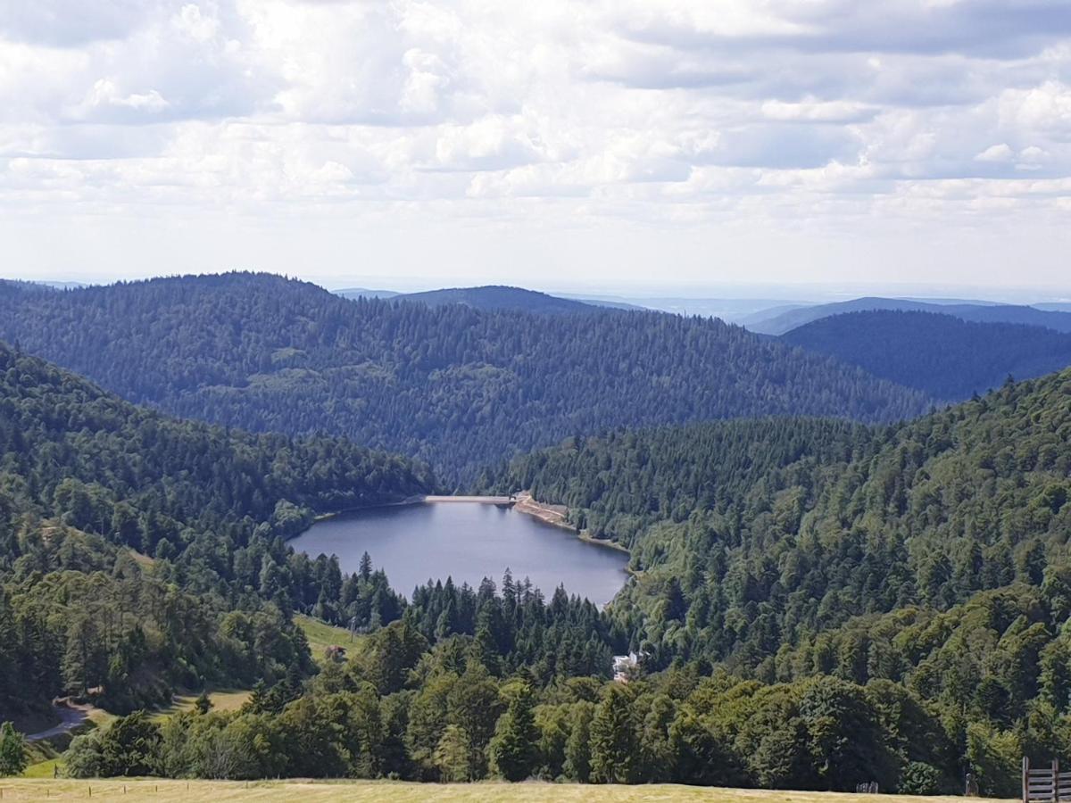 Maison Chaleureuse La Meybel La Bresse Bagian luar foto