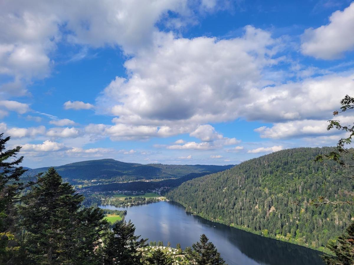 Maison Chaleureuse La Meybel La Bresse Bagian luar foto