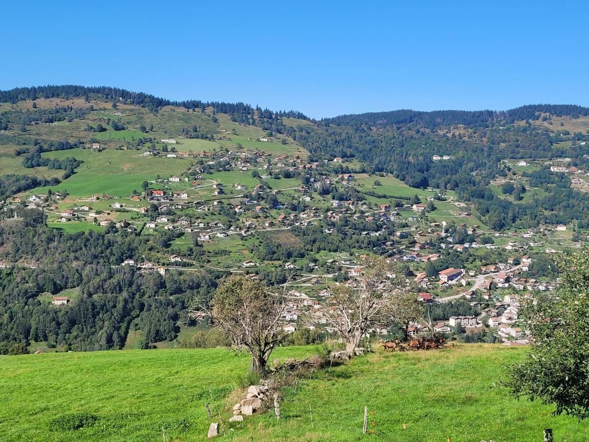 Maison Chaleureuse La Meybel La Bresse Bagian luar foto